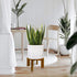 5-15 Inch Wood Plant Stand, Mid Century Modern Planter Stand Rattan Flower Pot Stand, Low Short Plant Stands Indoor