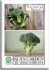 Waltham 29 Broccoli Seeds (Brassica oleracea) 300+ Heirloom Non-GMO Seeds by Islas