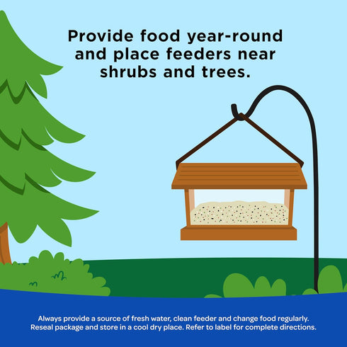 11 Kaytee Shelled Peanuts for Cardinals, Blue Jays, Woodpeckers and Other Outside Wild Birds, Pounds