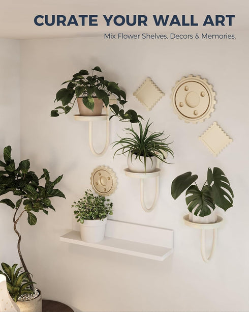 3pcs Bamworld Wall Plant Holder Wall Planters for Indoor Plants Plant Hanger Indoor Window Plant Shelves Hanging Plant