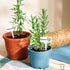 24Pcs 12 Summer JarThenaAMCS Acrylic Plant Label Signs Styles T-Type Herb Garden Markers Waterproof Reusable Plant
