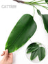 CATTREE 33 inch Tall Artificial Banana Tree, 9 Branches with Brown Leaves, UV Resistant Plastic for Indoor or Outdoor