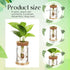 9 Packs Baderke Propagation Vases for Plants Plastic Plant Propagation Station with Hole Lid and Bamboo Stand Growing