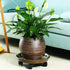 5 Packs 11.8" Plant Caddy with Wheels Plastic Rolling Plant Stands Heavy-Duty Plant Dolly with Casters Indoor Outdoor