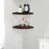 Set 2, (Brown-10 inch) Joiishom Wood Corner Wall Shelves of Solid Wood Corner Floating Shelves for Wall, Round End Wall