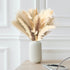CKBT 610 PCS Dried Pampas Grass Decor, Dried Flower Bouquets for Wedding, Home, Centerpiece Table, Modern Home, Western
