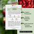Packet (1) Sow Right Seeds - San Marzano Tomato Seeds for Planting - Non-GMO Heirloom with Instructions to Plant a Home