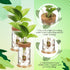 9 Packs Baderke Propagation Vases for Plants Plastic Plant Propagation Station with Hole Lid and Bamboo Stand Growing