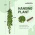 Meiliy 4pcs Faux Succulent Plants Hanging String of Pearls Plant for Home, Kitchen, Office, Wedding, Garden, Craft Art