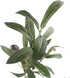 Artificial Olive Branch Stems 5pcs, 28 Inch