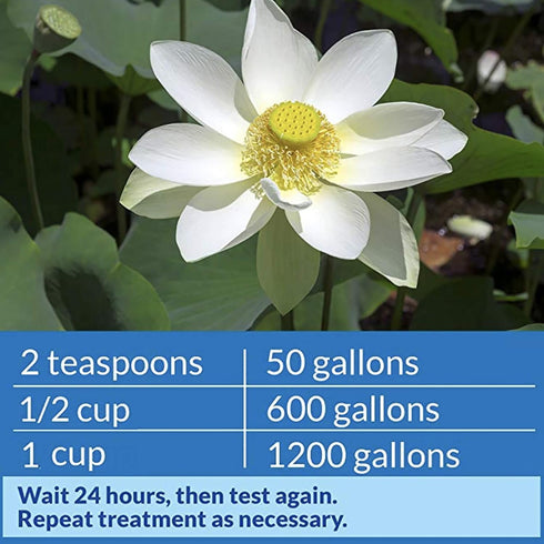 16-Ounce API POND pH UP Pond Water pH Raising Solution Bottle