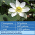 16-Ounce API POND pH UP Pond Water pH Raising Solution Bottle