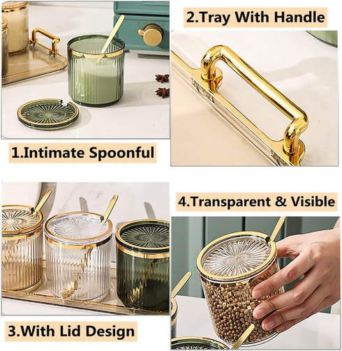 6 Pack,Seasoning Set Acrylic Condiment Spice Jars,Condiment Spice Box With Lids and Spoons and Tray,Clear Plastic