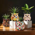 Midcentury Modern Decor Owl Planter, Bird Figurine Succulent Plant Pots for Plants, Small Sculptures Statue Flower Pot