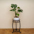 2 FaithLand Plant Stand, Heavy Duty Metal Planter Holder Indoor Outdoor, Tier Round Potted Supports Rack, Corner