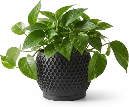 Fabix3D Plant Pots, Modern 3D Printed Honeycomb Planters for Indoor Plants, 4.7 Inch