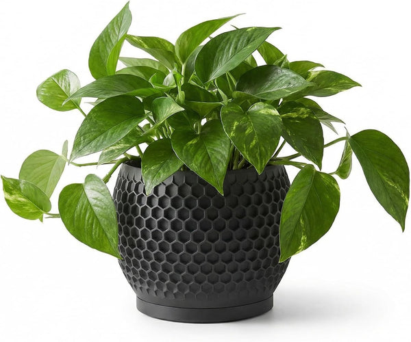 Fabix3D Plant Pots, Modern 3D Printed Honeycomb Planters for Indoor Plants, 4.7 Inch