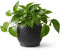 Fabix3D Plant Pots, Modern 3D Printed Honeycomb Planters for Indoor Plants, 4.7 Inch