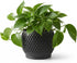 Fabix3D Plant Pots, Modern 3D Printed Honeycomb Planters for Indoor Plants, 4.7 Inch