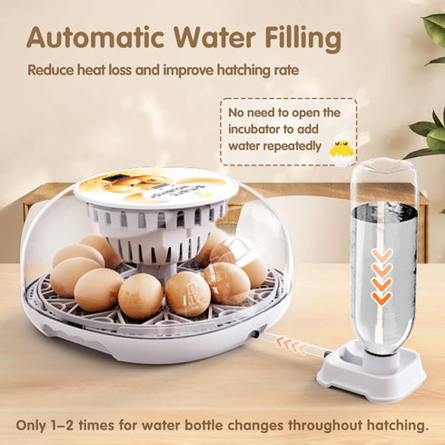 12 Egg Incubators for Hatching Eggs Chicken Eggs Incubator for Hatching Eggs Incubator with Automatic Egg Turner