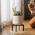 5-12 Inch IZIDDO Plant Stand Indoor Outdoor,Metal Mid-Century Pot Stand,Modern Plant Holder Rattan Flower Plant