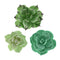 Global Sugar Art Succulents Sugar Cake Flowers, Set of 3 by Chef