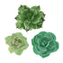 Global Sugar Art Succulents Sugar Cake Flowers, Set of 3 by Chef