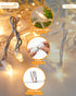 Set 100 Count 20 Bulb Minetom Clear Christmas Lights Feet Incandescent Mini String Lights for Indoor Christmas Tree