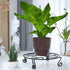 Yimobra Original Patented Plant Stand, Heavy Duty Metal Rustproof Holder for Indoor Outdoor Planters