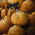 zhuohai Stainless Steel Coconut Opener Tool, Safe & Easy Straw Hole Maker for Young & Mature Coconuts