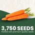 3,750 2026 5 Tendersweet Carrot Premium Seeds for Planting Smooth, Sweet, Coreless Roots for the Season Gram Pouch
