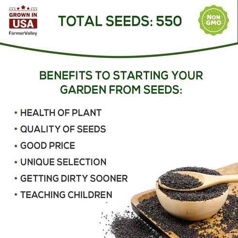 Pack 550+ Basil Seeds for Planting Home Garden Herbs - Individual of Heirloom Seeds, Suitable for Outdoors, Indoors