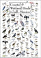 Earth Sky + Water, Coastal & Wetland Birds of the Gulf of Mexico Posters