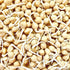 (1/4 Todd's Seeds Sprouting Garbanzo Beans, Non-GMO, Chemical Free, High Germination Pound)