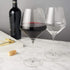 Viski Raye Angled Burgundy Glasses Set of 2 - Premium Crystal Clear Red Wine Gift Set, 21 oz
