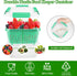 50oz Berry Keeper Fruit Storage Container for Fridge, Fresh Food Produce Saver with Removable Drain Colander