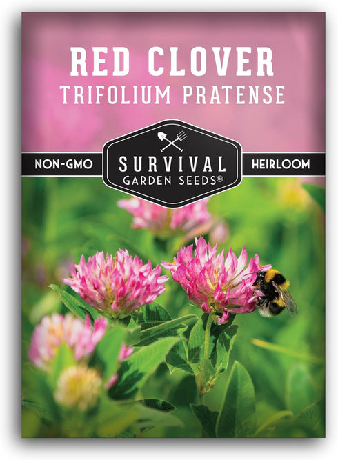 Red Clover Seeds for Planting Nitrogen-Fixing Cover Crop & Ground Cover for