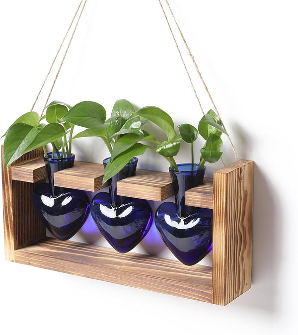 Plant Terrarium Propagation Stations Hydroponics Home Garden Decoration Gift for Women with