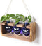 Plant Terrarium Propagation Stations Hydroponics Home Garden Decoration Gift for Women with