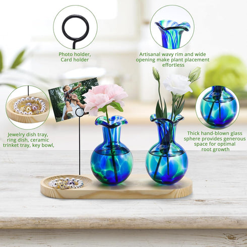 Pozfun 2 Bulb Hand Blown Glass Plant Propagation Stations Plant Terrarium Wooden Stand for Hydroponic Plants Combine