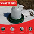 28W -20F, My Favorite Chicken Heated Poultry Waterer Base Electric Chicken Water Heater for Winter, Freeze-Proof