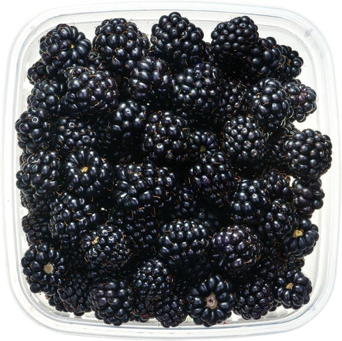 200+ BlackBerry Seeds for Planting - Non-GMO Seeds - Organic BlackBerry Seeds to Plant for Garden Outdoor