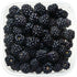 200+ BlackBerry Seeds for Planting - Non-GMO Seeds - Organic BlackBerry Seeds to Plant for Garden Outdoor
