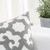 HWY 50 Grey Decorative Throw Pillow Cover 18x18 Inch (1 Piece) - Embroidered Cotton Cushion for Sofa, Living Room