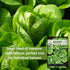 Packet (2) Sow Right Seeds - Little Gem Lettuce Seeds for Planting - Non-GMO Heirloom with Instructions to Plant a Home