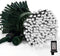 LAMPHOME 33ft Christmas Decorative Mini Lights, 100 LED Green Wire Fairy Starry