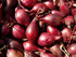 SeedsUA Seeds Red Shallot Onion Heirloom Vegetable for Planting Non GMO