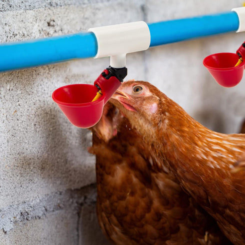 20 Pack Chicken Waterer PVC Tee Fittings - Fully Automatic for Threaded Chicken Waterer Nipples/Cups/Feeders/Poultry