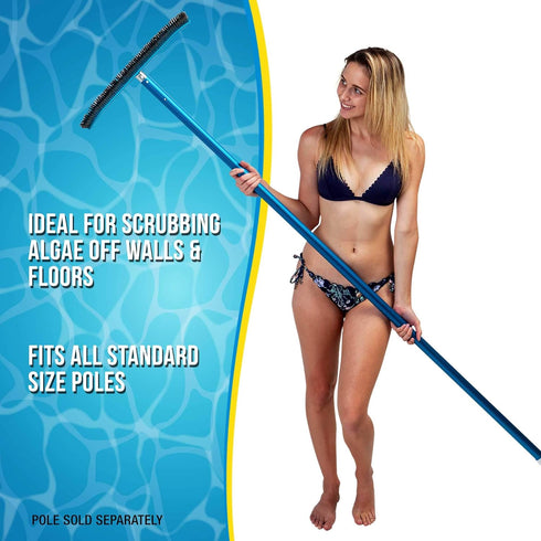 18" U.S. Pool Supply Pool Brush Head for Inground Pools - Stainless Steel Pool Brush, Metal Wire Bristles, Scrubbing
