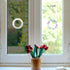 Ring and Circle Static Window Clings Anti Collision Window Decals for Bird Strikes, Glass Alert Stickers, Stop Birds Flying into Windows, Set of 35